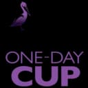 Domestic Cricket Logo