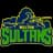 Multan Sultans logo