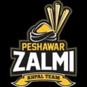 Peshawar Zalmi logo
